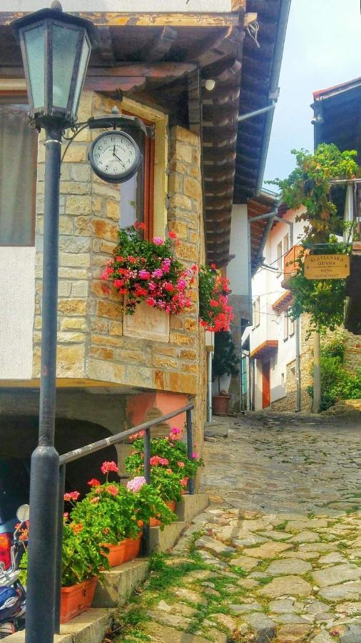Family Hotel "Slavianska Dusha" ヴェリコ・タルノヴォ エクステリア 写真